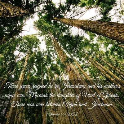 Picture 03 - 2 Chronicles 13:2 WEB - Three years reigned he in Jerusalem: and his - Bible Verse Picture