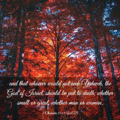 Picture 03 - 2 Chronicles 15:13 WEB - and that whoever would not seek Yahweh, the God - Bible Verse Picture