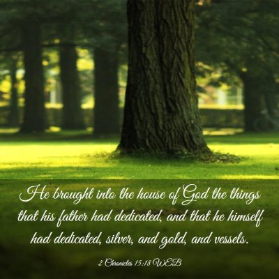 Picture 03 - 2 Chronicles 15:18 WEB - He brought into the house of God the things that - Bible Verse Picture