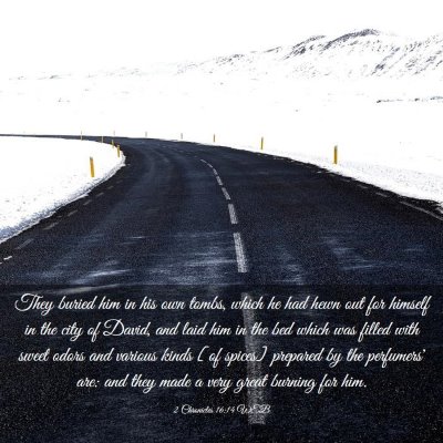 Picture 03 - 2 Chronicles 16:14 WEB - They buried him in his own tombs, which he had - Bible Verse Picture