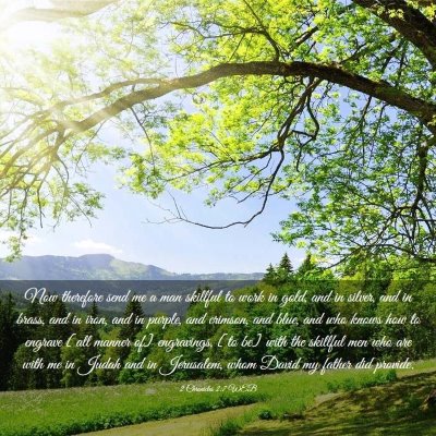 Picture 03 - 2 Chronicles 2:7 WEB - Now therefore send me a man skillful to work in - Bible Verse Picture