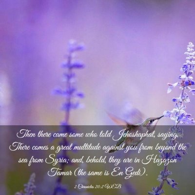 Picture 03 - 2 Chronicles 20:2 WEB - Then there came some who told Jehoshaphat, - Bible Verse Picture