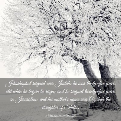 Picture 03 - 2 Chronicles 20:31 WEB - Jehoshaphat reigned over Judah: he was - Bible Verse Picture