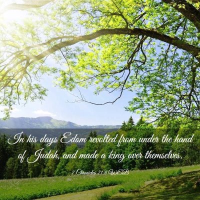 Picture 03 - 2 Chronicles 21:8 WEB - In his days Edom revolted from under the hand of - Bible Verse Picture