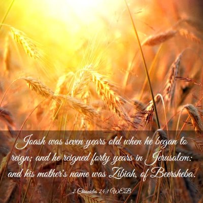 Picture 03 - 2 Chronicles 24:1 WEB - Joash was seven years old when he began to reign; - Bible Verse Picture