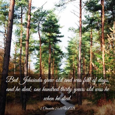 Picture 03 - 2 Chronicles 24:15 WEB - But Jehoiada grew old and was full of days, and - Bible Verse Picture