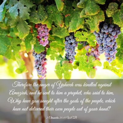 Picture 03 - 2 Chronicles 25:15 WEB - Therefore the anger of Yahweh was kindled against - Bible Verse Picture