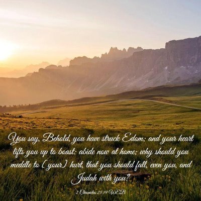 Picture 03 - 2 Chronicles 25:19 WEB - You say, Behold, you have struck Edom; and your - Bible Verse Picture