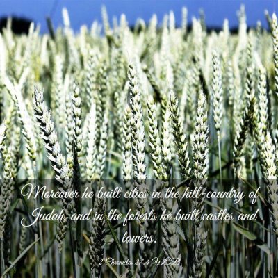 Picture 03 - 2 Chronicles 27:4 WEB - Moreover he built cities in the hill-country of - Bible Verse Picture