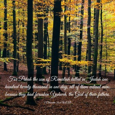 Picture 03 - 2 Chronicles 28:6 WEB - For Pekah the son of Remaliah killed in Judah one - Bible Verse Picture