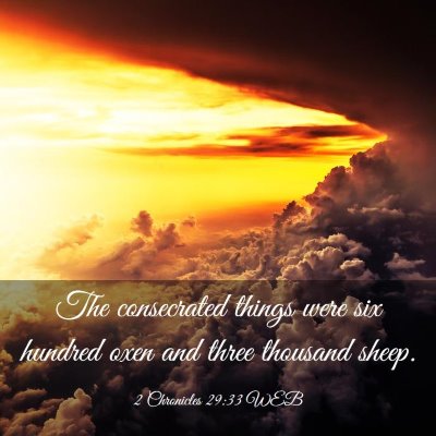 Picture 03 - 2 Chronicles 29:33 WEB - The consecrated things were six hundred oxen and - Bible Verse Picture