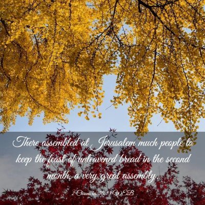 Picture 03 - 2 Chronicles 30:13 WEB - There assembled at Jerusalem much people to keep - Bible Verse Picture