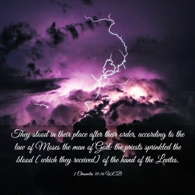 Picture 03 - 2 Chronicles 30:16 WEB - They stood in their place after their order, - Bible Verse Picture