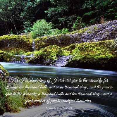 Picture 03 - 2 Chronicles 30:24 WEB - For Hezekiah king of Judah did give to the - Bible Verse Picture
