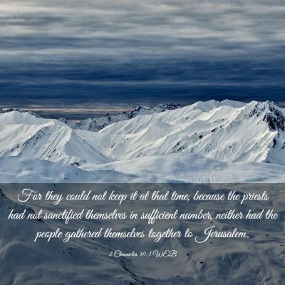 Picture 03 - 2 Chronicles 30:3 WEB - For they could not keep it at that time, because - Bible Verse Picture