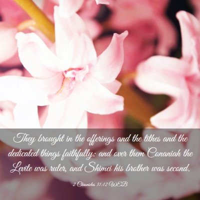 Picture 03 - 2 Chronicles 31:12 WEB - They brought in the offerings and the tithes and - Bible Verse Picture