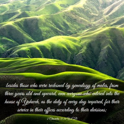 Picture 03 - 2 Chronicles 31:16 WEB - besides those who were reckoned by genealogy of - Bible Verse Picture