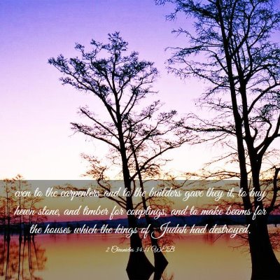 Picture 03 - 2 Chronicles 34:11 WEB - even to the carpenters and to the builders gave - Bible Verse Picture