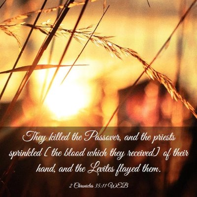 Picture 03 - 2 Chronicles 35:11 WEB - They killed the Passover, and the priests - Bible Verse Picture