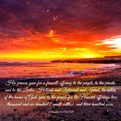 Picture 03 - 2 Chronicles 35:8 WEB - His princes gave for a freewill-offering to the - Bible Verse Picture