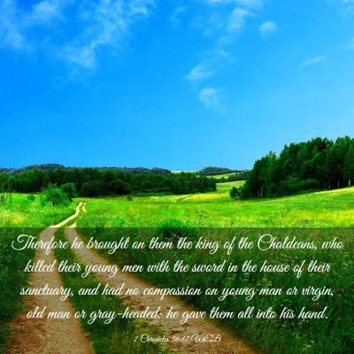 Picture 03 - 2 Chronicles 36:17 WEB - Therefore he brought on them the king of the - Bible Verse Picture