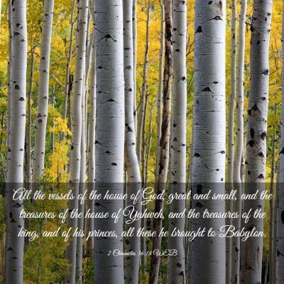 Picture 03 - 2 Chronicles 36:18 WEB - All the vessels of the house of God, great and - Bible Verse Picture