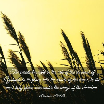 Picture 03 - 2 Chronicles 5:7 WEB - The priests brought in the ark of the covenant of - Bible Verse Picture
