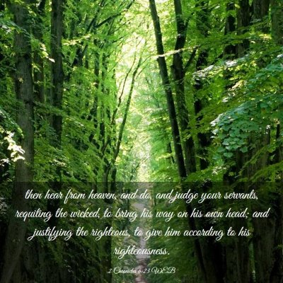 Picture 03 - 2 Chronicles 6:23 WEB - then hear from heaven, and do, and judge your - Bible Verse Picture