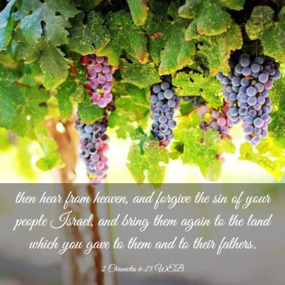 Picture 03 - 2 Chronicles 6:25 WEB - then hear from heaven, and forgive the sin of - Bible Verse Picture