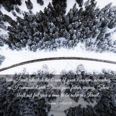 Picture 03 - 2 Chronicles 7:18 WEB - then I will establish the throne of your kingdom, - Bible Verse Picture