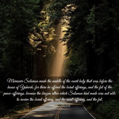 Picture 03 - 2 Chronicles 7:7 WEB - Moreover Solomon made the middle of the court - Bible Verse Picture