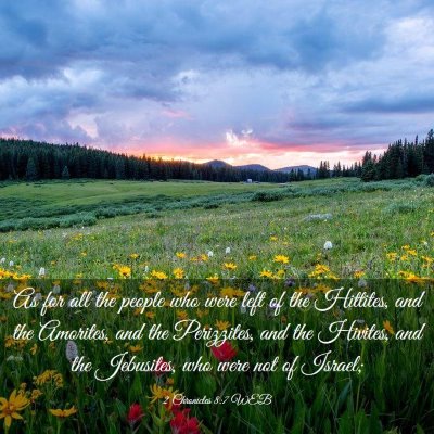Picture 03 - 2 Chronicles 8:7 WEB - As for all the people who were left of the - Bible Verse Picture