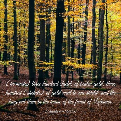 Picture 03 - 2 Chronicles 9:16 WEB - [he made] three hundred shields of beaten gold; - Bible Verse Picture