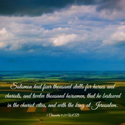 Picture 03 - 2 Chronicles 9:25 WEB - Solomon had four thousand stalls for horses and - Bible Verse Picture