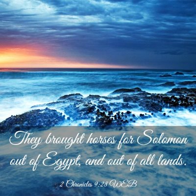 Picture 03 - 2 Chronicles 9:28 WEB - They brought horses for Solomon out of Egypt, and - Bible Verse Picture