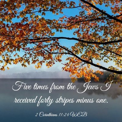 Picture 03 - 2 Corinthians 11:24 WEB - Five times from the Jews I received forty stripes - Bible Verse Picture