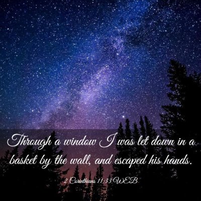 Picture 03 - 2 Corinthians 11:33 WEB - Through a window I was let down in a basket by - Bible Verse Picture
