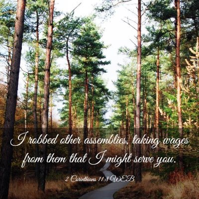 Picture 03 - 2 Corinthians 11:8 WEB - I robbed other assemblies, taking wages from them - Bible Verse Picture