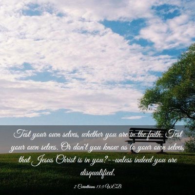 Picture 03 - 2 Corinthians 13:5 WEB - Test your own selves, whether you are in the - Bible Verse Picture
