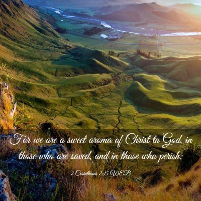 Picture 03 - 2 Corinthians 2:15 WEB - For we are a sweet aroma of Christ to God, in - Bible Verse Picture