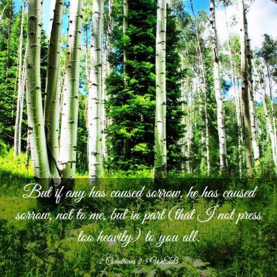 Picture 03 - 2 Corinthians 2:5 WEB - But if any has caused sorrow, he has caused - Bible Verse Picture