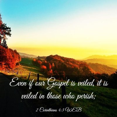 Picture 03 - 2 Corinthians 4:3 WEB - Even if our Gospel is veiled, it is veiled in - Bible Verse Picture