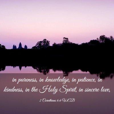 Picture 03 - 2 Corinthians 6:6 WEB - in pureness, in knowledge, in patience, in - Bible Verse Picture
