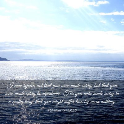 Picture 03 - 2 Corinthians 7:9 WEB - I now rejoice, not that you were made sorry, but - Bible Verse Picture