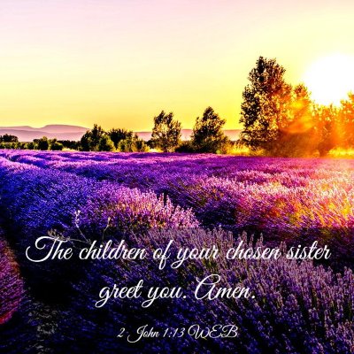 Picture 03 - 2 John 1:13 WEB - The children of your chosen sister greet you. - Bible Verse Picture