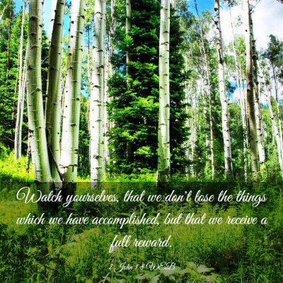 Picture 03 - 2 John 1:8 WEB - Watch yourselves, that we don't lose the things - Bible Verse Picture