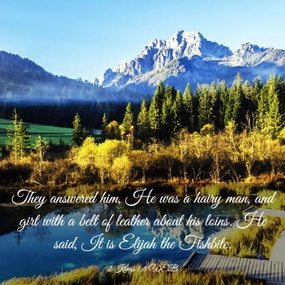 Picture 03 - 2 Kings 1:8 WEB - They answered him, He was a hairy man, and girt - Bible Verse Picture