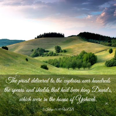 Picture 03 - 2 Kings 11:10 WEB - The priest delivered to the captains over - Bible Verse Picture