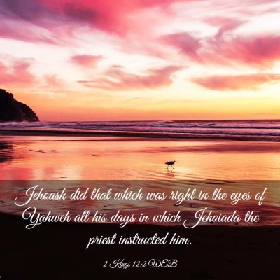 Picture 03 - 2 Kings 12:2 WEB - Jehoash did that which was right in the eyes of - Bible Verse Picture