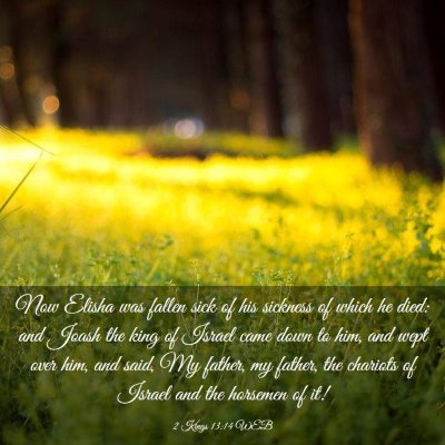 Picture 03 - 2 Kings 13:14 WEB - Now Elisha was fallen sick of his sickness of - Bible Verse Picture